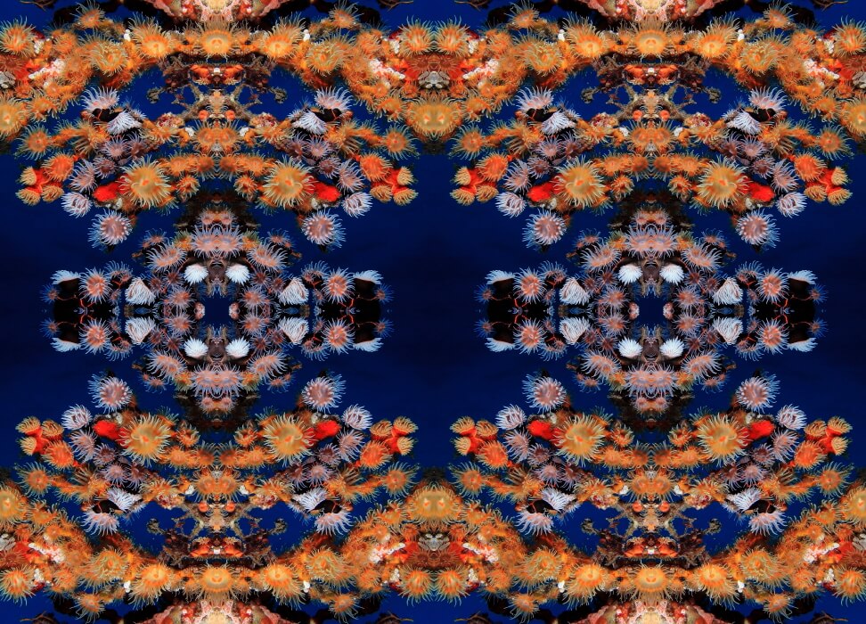 Kaleidoscope|KanakoSato